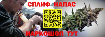 гашик Михайловка