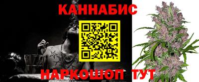 гашик Михайловка
