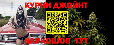 гашик Михайловка