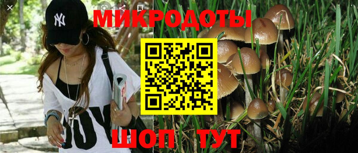 Абинск  Галлюциногенные грибы мицелий  Вход с VPN  Галлюциногенные грибы Psilocybe 